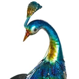 Wyld and Coco 75cm Hand-Painted Metal Peacock Figurine Blue - Indoor Outdoor Decor - thumbnail 7