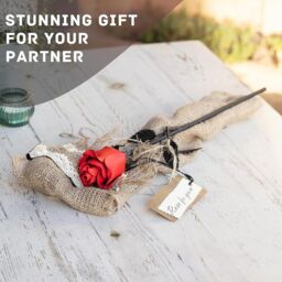 Novecrafto World of Nature Handcrafted Iron Rose For Anniversary - Black 100% Forged Iron in Red - thumbnail 5