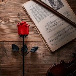 Novecrafto World of Nature Handcrafted Iron Rose For Anniversary - Black 100% Forged Iron in Red - thumbnail 2