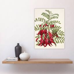 "Artery8 New Zealand Kaka Beak Plant Flowers Featon Wall Art Poster Print in Beige - Size: W12"" x H16""" - thumbnail 4