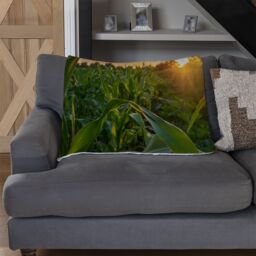Benjamin Tate Design corn & sun close up Designer Blanket in Natural - Size: 120 cm x 150 cm - thumbnail 2
