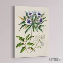 "Artery8 New Zealand Teteaweka Plant Flowers Featon Canvas Wall Art Print in Beige - Size: W12"" x H16""" - thumbnail 2