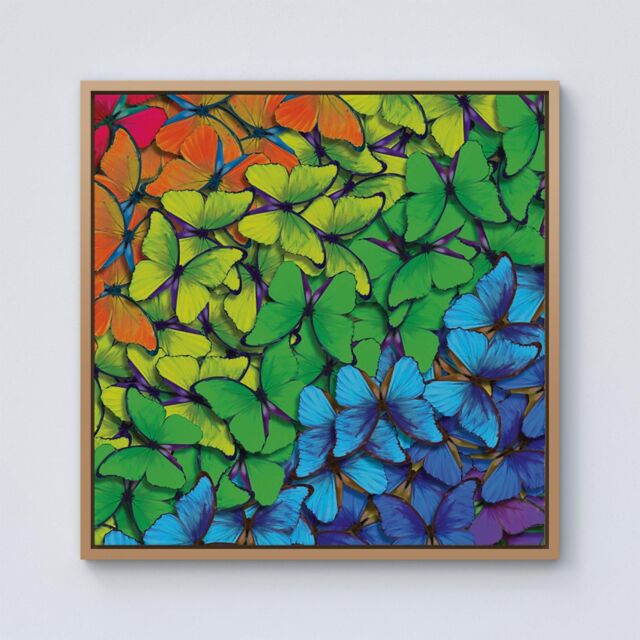 Warren Reed - Designer Multicoloured Butterflies Framed Canvas in Light Brown - Size: w40 inch x h40 inch - image 1