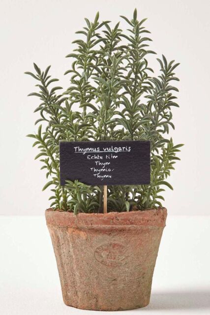 Homescapes Artificial Thyme Plant in Decorative Pot in Green - image 1