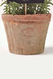Homescapes Artificial Thyme Plant in Decorative Pot in Green - thumbnail 3