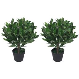Leaf Pair of 50cm Dwarf Artificial Bay Trees Laurel Topiary Bushes in Green