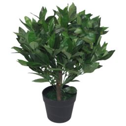 Leaf Pair of 50cm Dwarf Artificial Bay Trees Laurel Topiary Bushes in Green - thumbnail 4