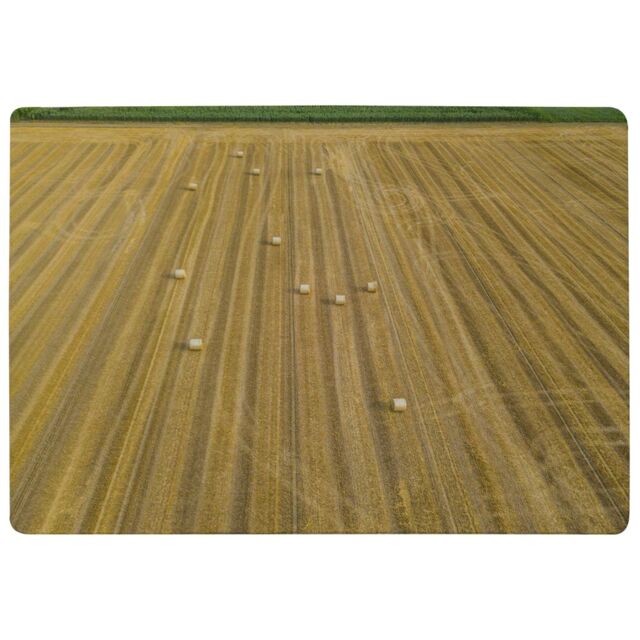 Benjamin Tate Design Straw Bales Of Wheat Lying On Harvested Field Designer Rug in Natural - Size: Large - image 1