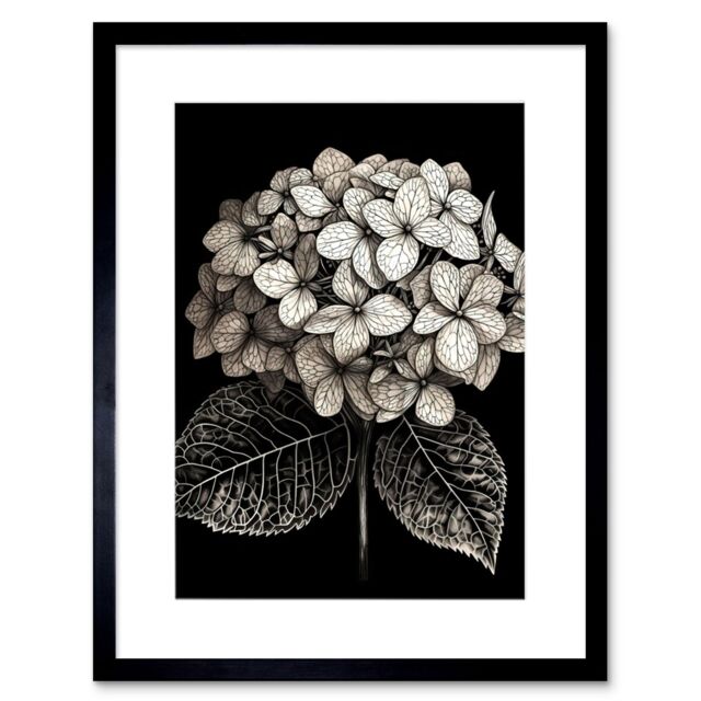 "Artery8 Wall Art Print Black & White Artistic Hydrangea Flower Plant Artwork Framed 9X7 Inch - Size: W7"" x H9""" - image 1