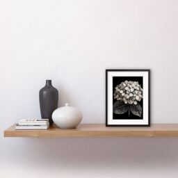 "Artery8 Wall Art Print Black & White Artistic Hydrangea Flower Plant Artwork Framed 9X7 Inch - Size: W7"" x H9""" - thumbnail 2