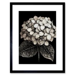 "Artery8 Wall Art Print Black & White Artistic Hydrangea Flower Plant Artwork Framed 9X7 Inch - Size: W7"" x H9""" - thumbnail 1