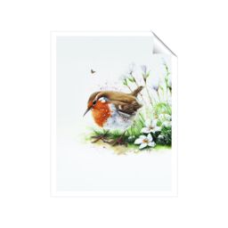 "Warren Reed - Designer Robin & Daisies Watercolour Unframed Art Print - Size: W20"" x H30""" - thumbnail 2