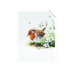 "Warren Reed - Designer Robin & Daisies Watercolour Unframed Art Print - Size: W20"" x H30""" - thumbnail 1