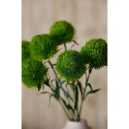 Lemon Pavilion Furniture and Decor Light Dianthus (Single Stem Flower) - Plastic - Height 53 cm - Green - thumbnail 5