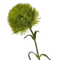 Lemon Pavilion Furniture and Decor Light Dianthus (Single Stem Flower) - Plastic - Height 53 cm - Green - thumbnail 2