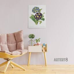 "Artery8 Floral Primula Auricula Redoute Vintage Canvas Wall Art in White - Size: W24"" x H32""" - thumbnail 3