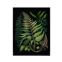 "Artery8 Elegant Fern Fronds Botanical Framed Canvas Wall Art Print in Green - Size: W12"" x H16""" - thumbnail 1