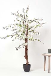 Homescapes Artificial Blossom Tree with White Silk Flowers - 5 Feet - thumbnail 6
