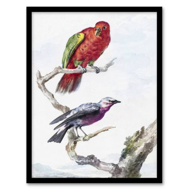 "Artery8 Red Green Parrot & Bird Watercolour Schouman Framed Wall Art Print in White - Size: W12"" x H16""" - image 1