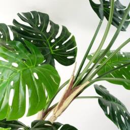 Leaf 150cm Artificial Luxury Monstera Cheese Plant Black Pot in Green - thumbnail 5