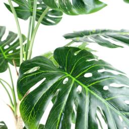 Leaf 150cm Artificial Luxury Monstera Cheese Plant Black Pot in Green - thumbnail 2