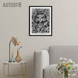 "Artery8 Hexacorallia Coral Haeckel Botanical Black Framed Canvas Wall Art in White - Size: W12"" x H16""" - thumbnail 3