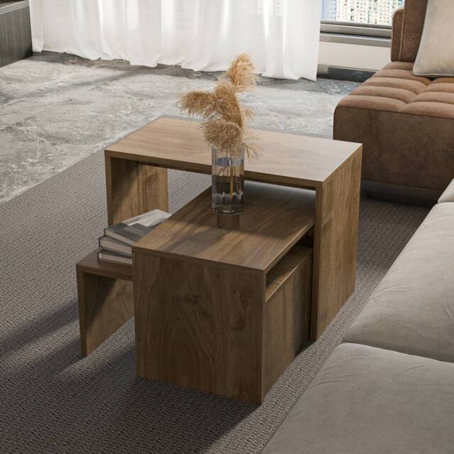 Decorotika Andro 3 Pieces Nesting Coffee Table in Natural - image 1
