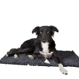 Scruffs Noodle Dog Drying Mat in Grey - Size: 90 cm x 60 cm - thumbnail 2