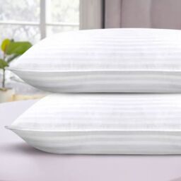 Early's of Witney 'Back Sleeper' Twin Pack Pillows in White - thumbnail 2