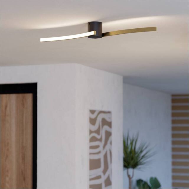 Loops Stylish Modern Black & Brushed Brass Ceiling Light for Indoor Spaces - image 1
