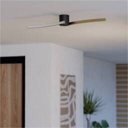 Loops Stylish Modern Black & Brushed Brass Ceiling Light for Indoor Spaces - thumbnail 3
