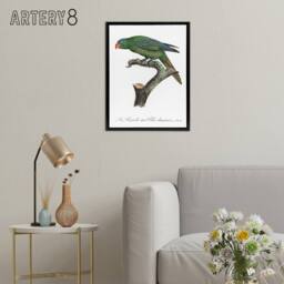 "Artery8 The Blue Naped Parrot Francois Levaillant Framed Canvas Wall Art Print in White - Size: W12"" x H16""" - thumbnail 3
