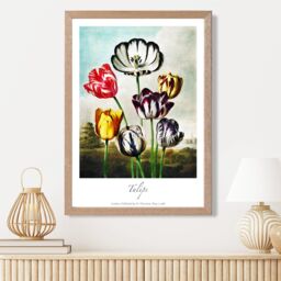 ARTZE Vintage Floral Exhibition - Tulip Flowers Framed Print SIZE: A4 with Oak Frame in Red - Size: A2 - thumbnail 2