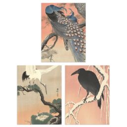 Artery8 Wall Art Print Pack of 3 A4 Ohara Koson Japan Kachō-e Bird & Flower Crow Crane Peacock Japanese Paintings Living Room s Set - thumbnail 1