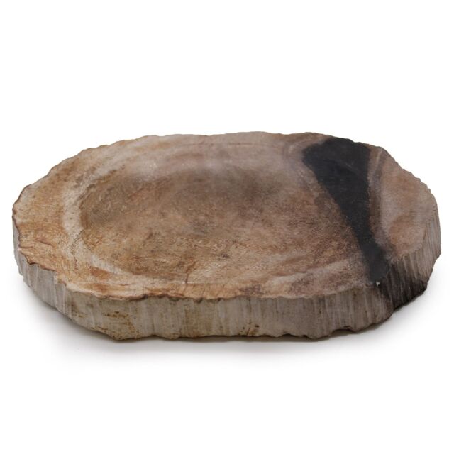 KDMD Petrified Wood Black Soap Dish in Brown - image 1