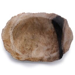 KDMD Petrified Wood Black Soap Dish in Brown - thumbnail 2