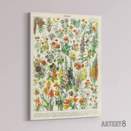 "Artery8 Millot Encyclopedia Page Flowers Plants Canvas Wall Art Print - Size: W12"" x H16""" - thumbnail 2