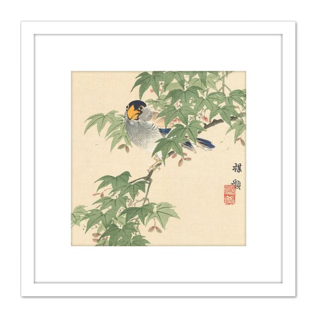 Artery8 Kono Bairei Japan Flowers & Birds 8X8 Inch Square Wooden Framed Wall Art Print Picture with Mount in White - image 1