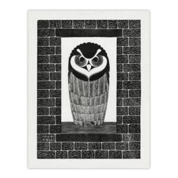 "Artery8 Ringuil Owl Bird on a Window De Mesquita Wall Art Poster Print in White - Size: W12"" x H16""" - thumbnail 1