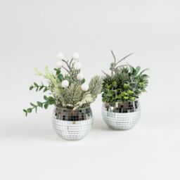 Scottish Everlastings Ltd Set of 2 Christmas Mirrorball Plants in Silver - thumbnail 2