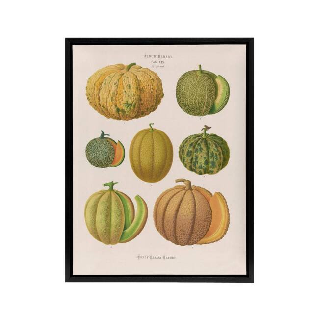 "Artery8 Melons Fruit Vintage Kitchen Ernst Benary Framed Canvas Wall Art Print in White - Size: W12"" x H16""" - image 1