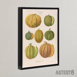 "Artery8 Melons Fruit Vintage Kitchen Ernst Benary Framed Canvas Wall Art Print in White - Size: W12"" x H16""" - thumbnail 2