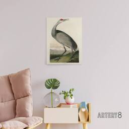 "Artery8 Audubon Birds Of Crane Nature Painting Canvas Wall Art Print - Size: W18"" x H24""" - thumbnail 3