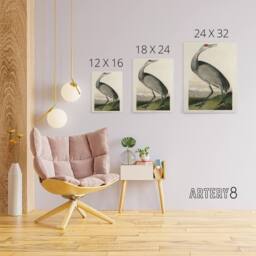 "Artery8 Audubon Birds Of Crane Nature Painting Canvas Wall Art Print - Size: W18"" x H24""" - thumbnail 4