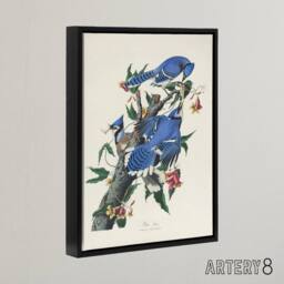 "Artery8 Blue Jay & Trumpet Flowers Audubon Nature Black Framed Canvas Art in White - Size: W24"" x H32""" - thumbnail 2