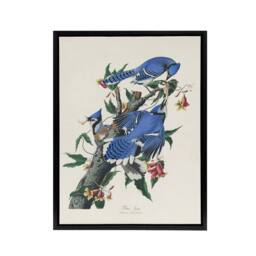 "Artery8 Blue Jay & Trumpet Flowers Audubon Nature Black Framed Canvas Art in White - Size: W24"" x H32""" - thumbnail 1