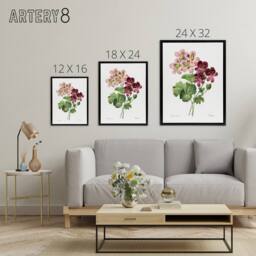 "Artery8 Geranium Flowers Illustration Redoute Vintage Framed Canvas Wall Art in White - Size: W12"" x H16""" - thumbnail 4