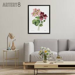 "Artery8 Geranium Flowers Illustration Redoute Vintage Framed Canvas Wall Art in White - Size: W12"" x H16""" - thumbnail 3