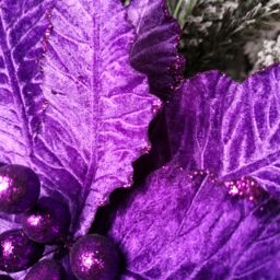 Samuel Alexander 76cm Purple Velvet Poinsettia Stem with Glitter Christmas Decoration - thumbnail 5