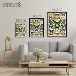 "Artery8 Millot Encyclopedia Page Butterflies Framed Canvas Wall Art Print - Size: W12"" x H16""" - thumbnail 4